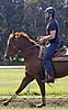 https://cdn01.justjared.comhugh-jackman-horseback-riding-05.jpg