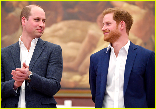 Prince William and Prince Harry smirk at each other
