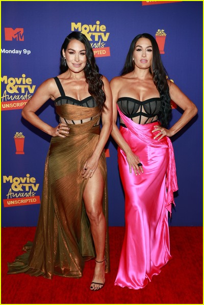 Brie and Nikki Bella on red carpet at the MTV Movie and TV Awards Unscripted