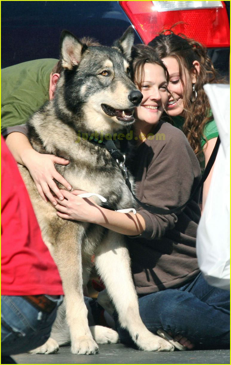 Drew Barrymore's Puppy Love: Photo 2417817 | Drew Barrymore Photos