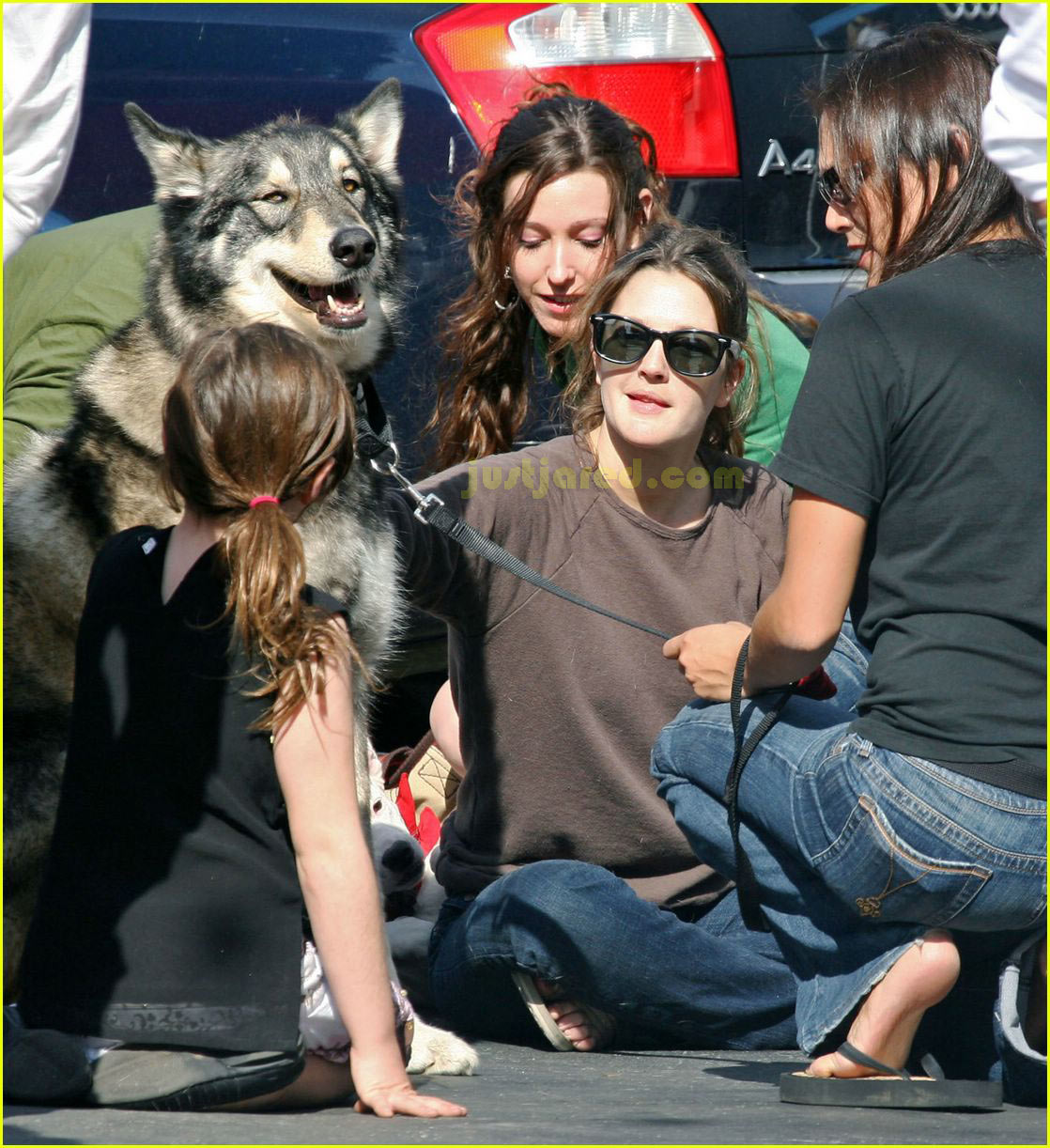 Photo: drew barrymore dog 03 | Photo 2417819 | Just Jared