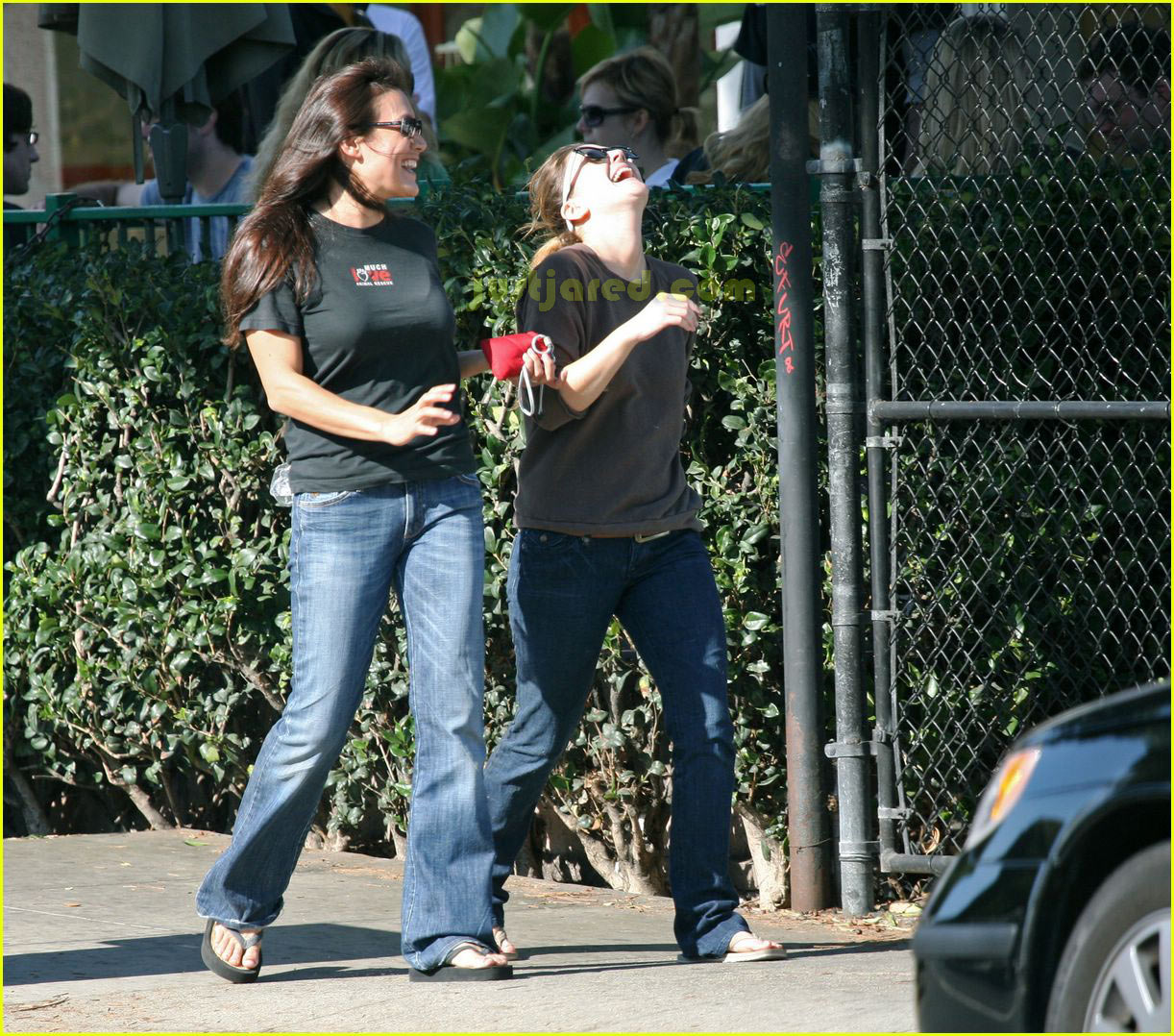 Photo: drew barrymore dog 06 | Photo 2417822 | Just Jared