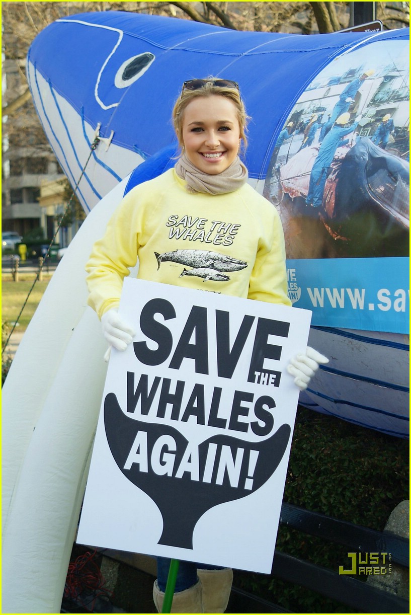 Hayden Save the Whales... Again! Photo 888571 Photos