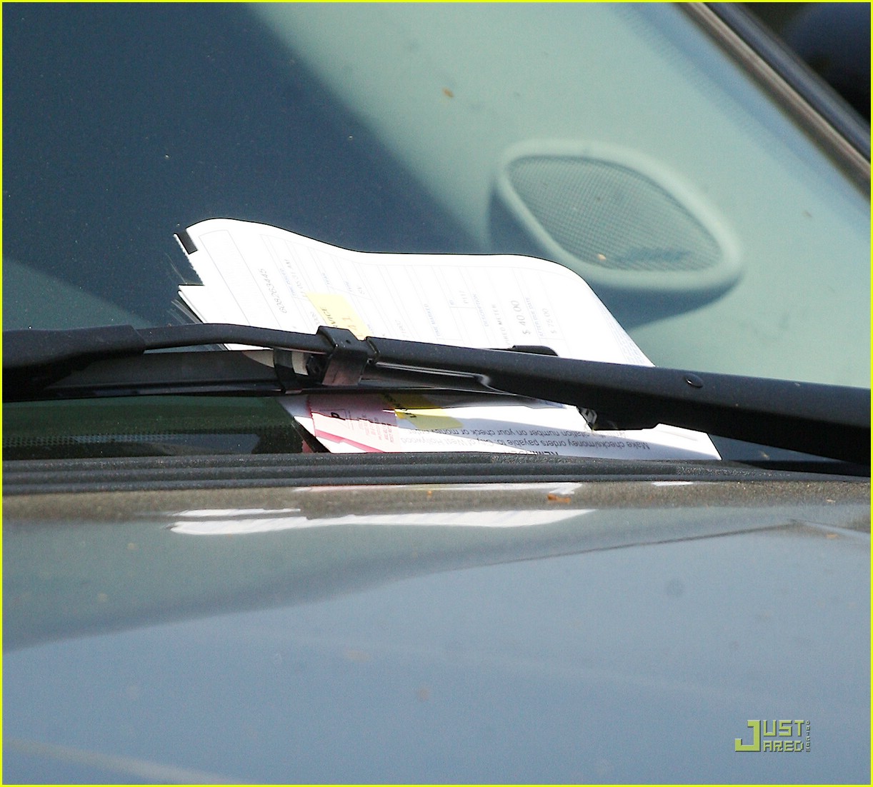 Jessica Alba: Capitol Hill, Here I Come!: Photo 1891081 | Cash Warren