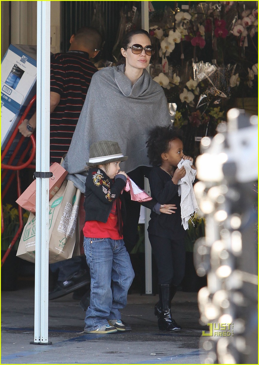 Angelina Jolie Whole Foods Grocery Shopping! Photo 2408698 Angelina
