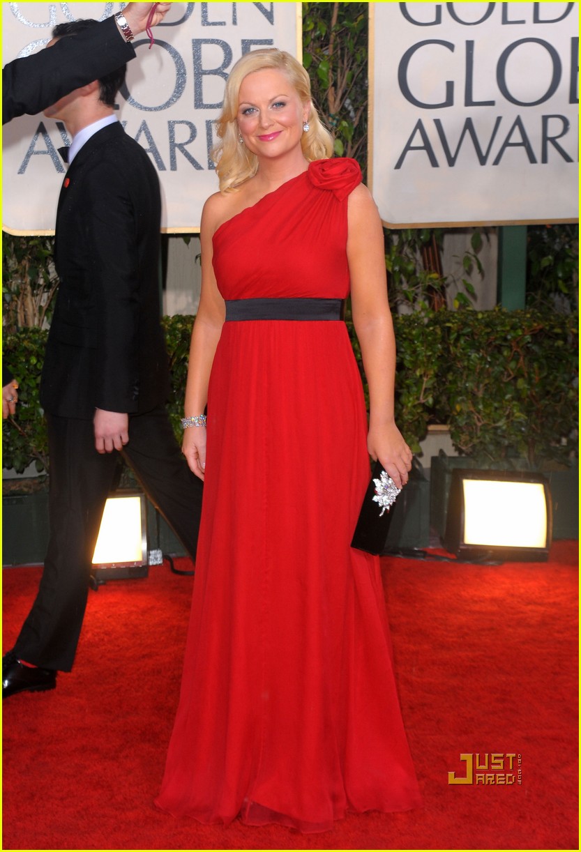 Amy Poehler - Golden Globes 2010 Red Carpet : Photo 2409440 | 2010