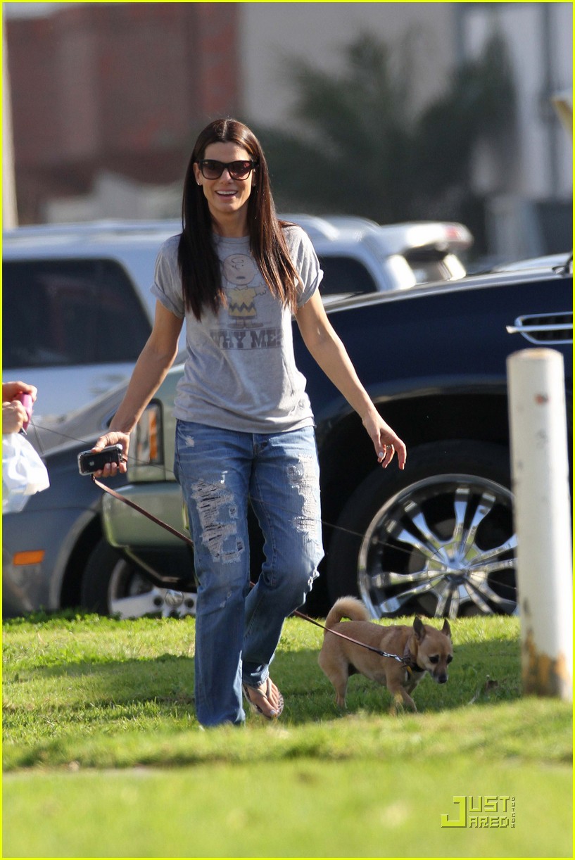 Sandra Bullock Loves Her ThreeLegged Pooch Photo 2425277 Sandra