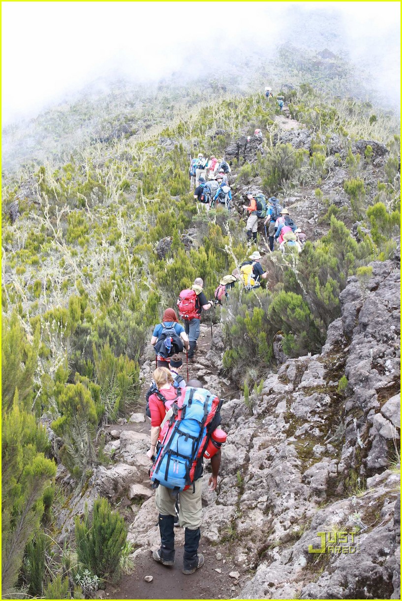 Doug Pitt Climbing Mount Kilimanjaro! Photo 2509510 Doug Pitt