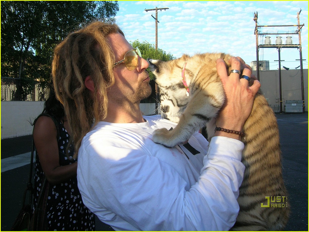 Bradley Cooper Tiger Cub Cuddling! Photo 2556712 Bradley Cooper