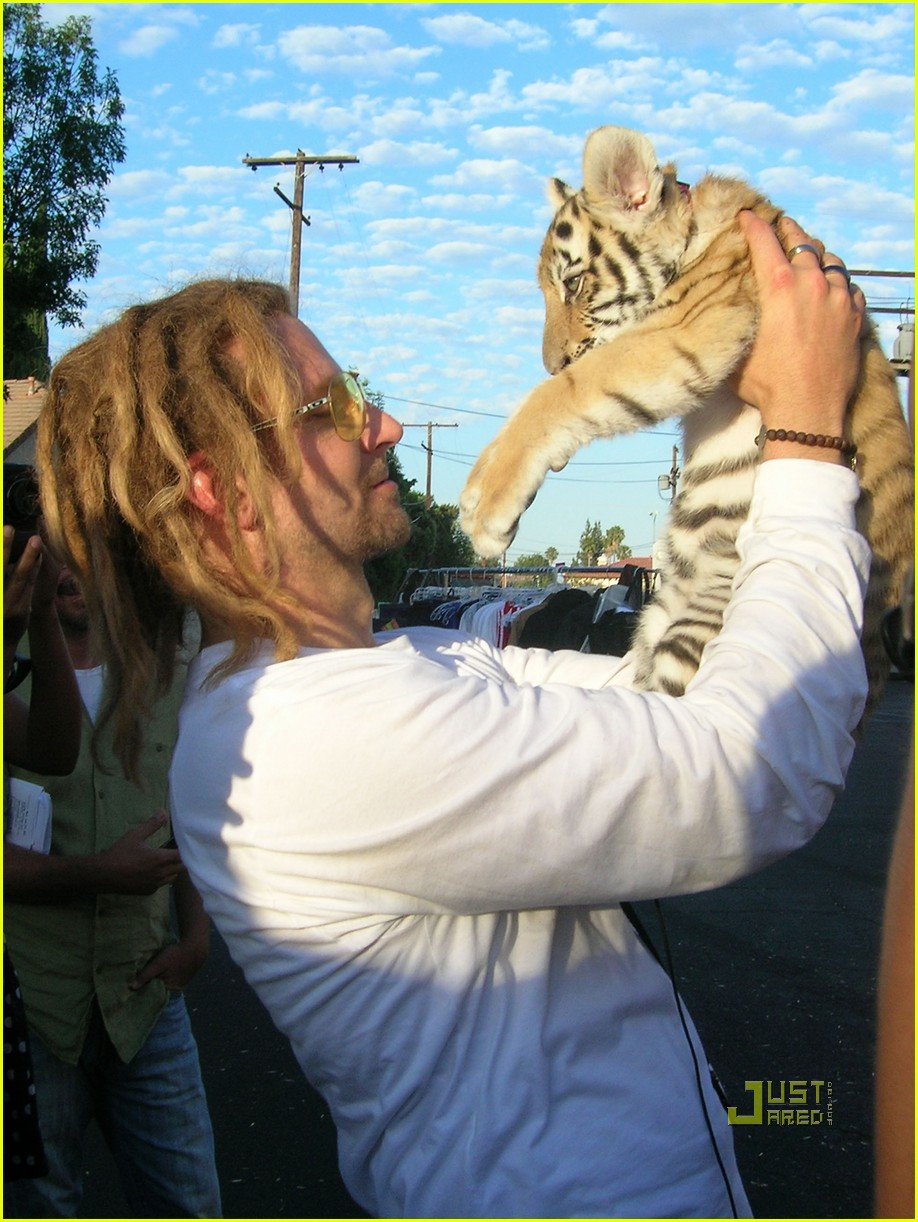 Bradley Cooper Tiger Cub Cuddling! Photo 2556714 Bradley Cooper