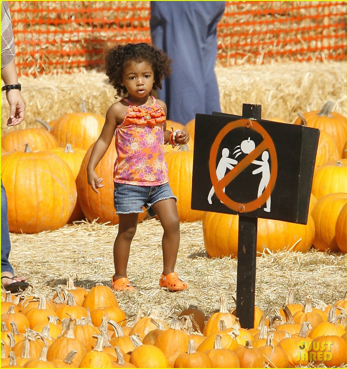 Heidi Klum & Seal Pick Pumpkins With the Kids! Photo 2590599(02)