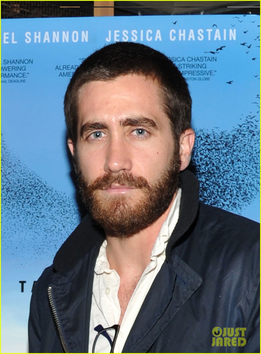 jake gyllenhaal take shelter premiere with michael shannon 032596268