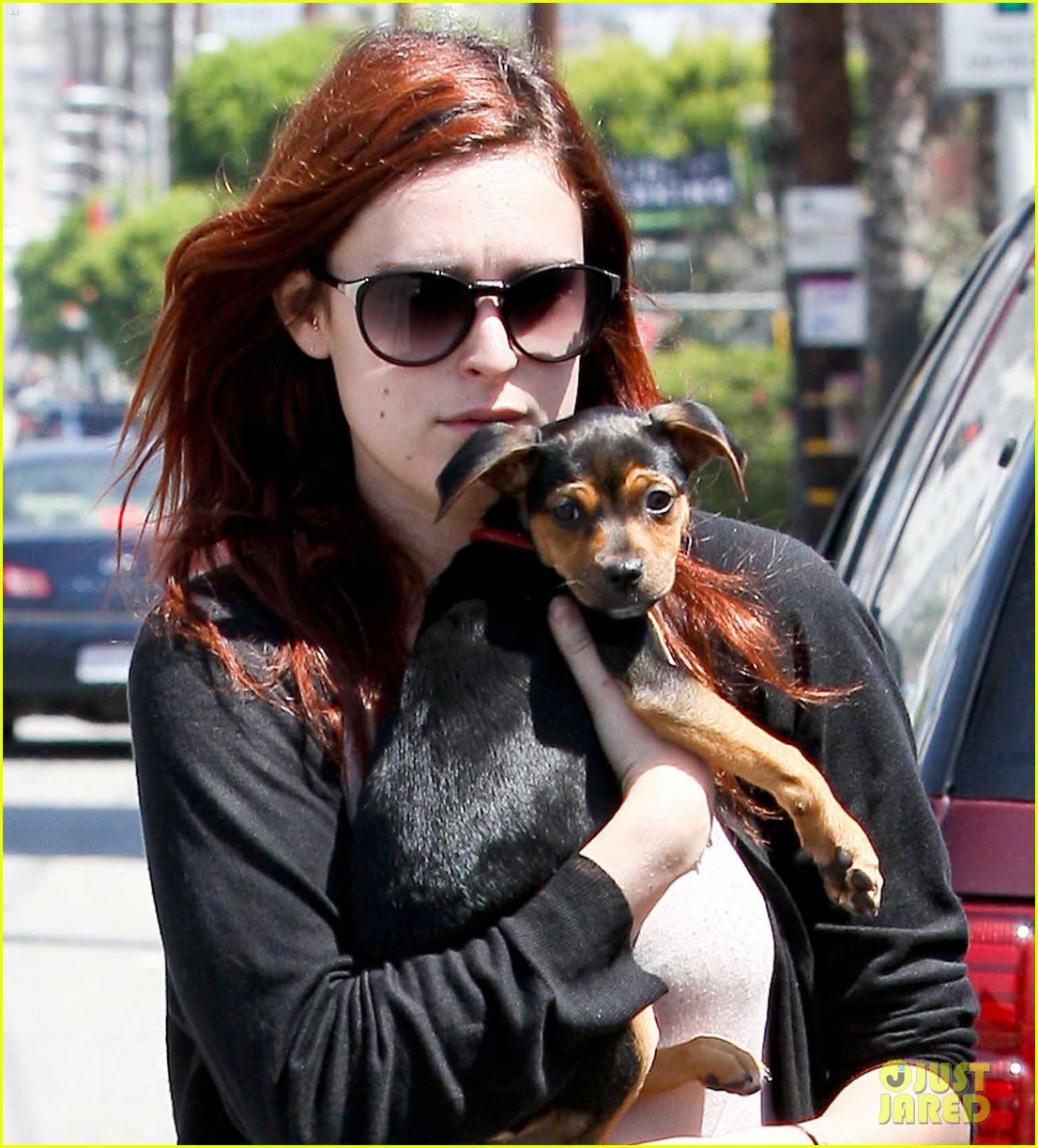Rumer Willis: Help Me Name My Dog!: Photo 2659908 | Rumer Willis Photos