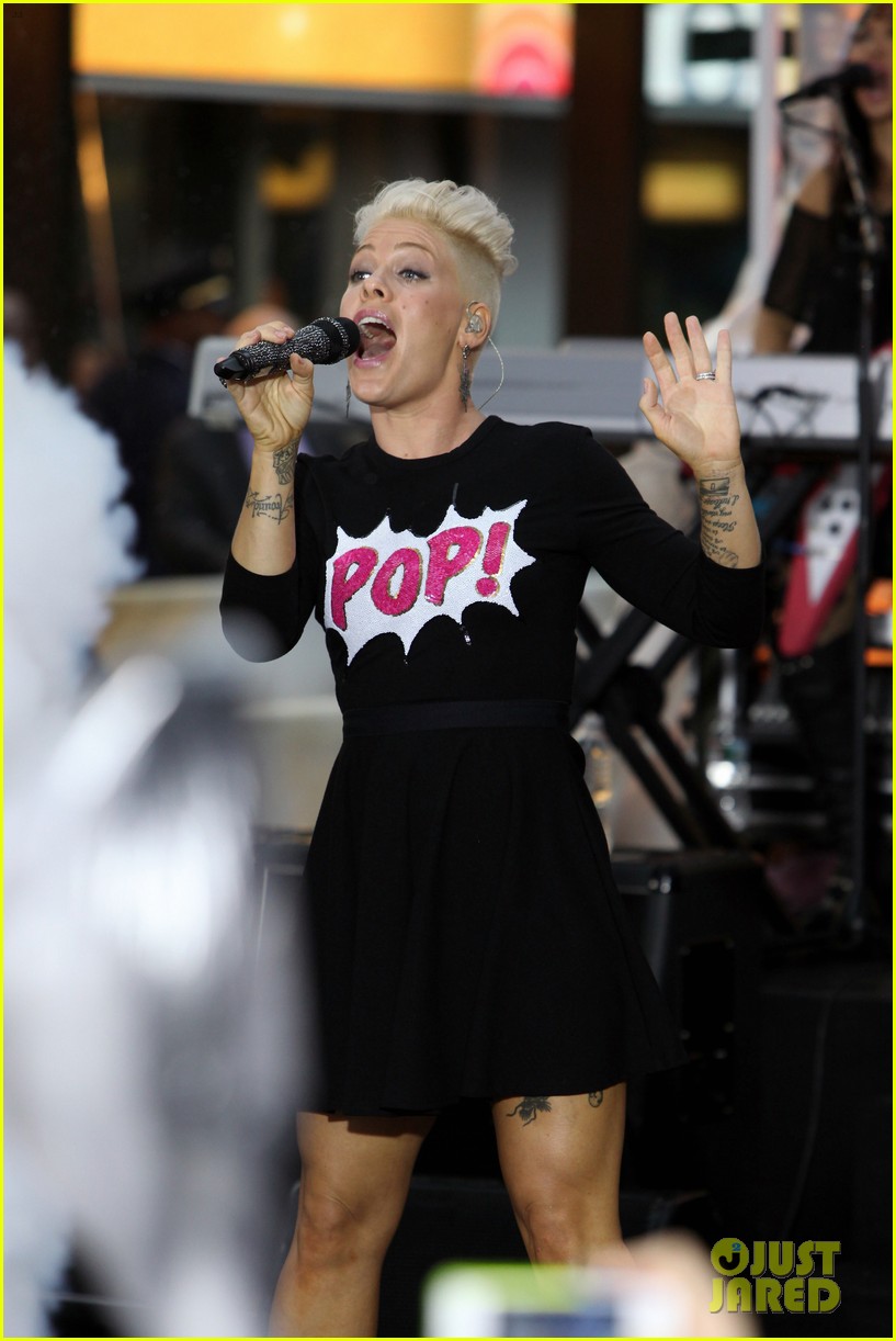 Photo pink today show performance tour announcement 08 Photo 2724306
