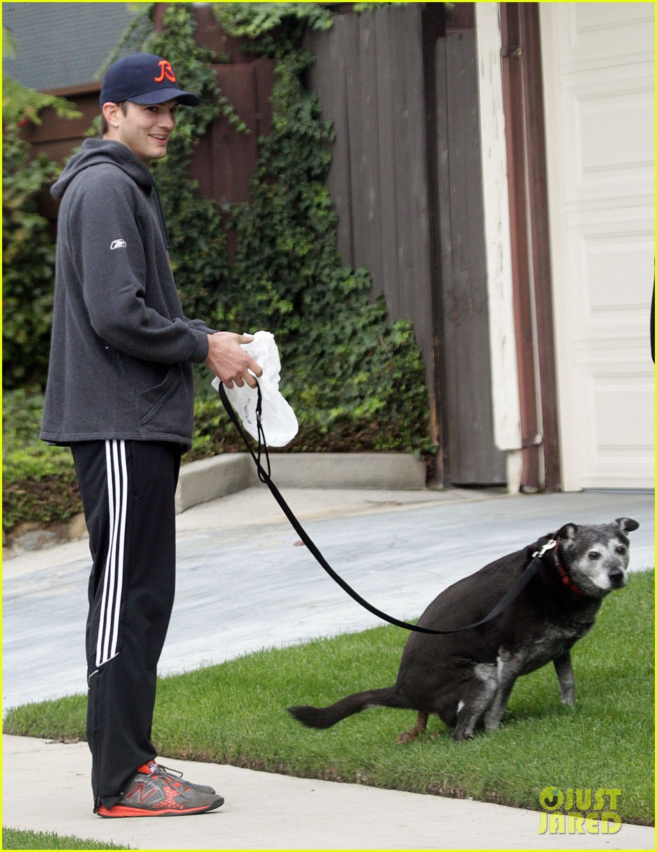 Mila Kunis & Ashton Kutcher Romantic Dog Walk! Photo 2774905 Ashton