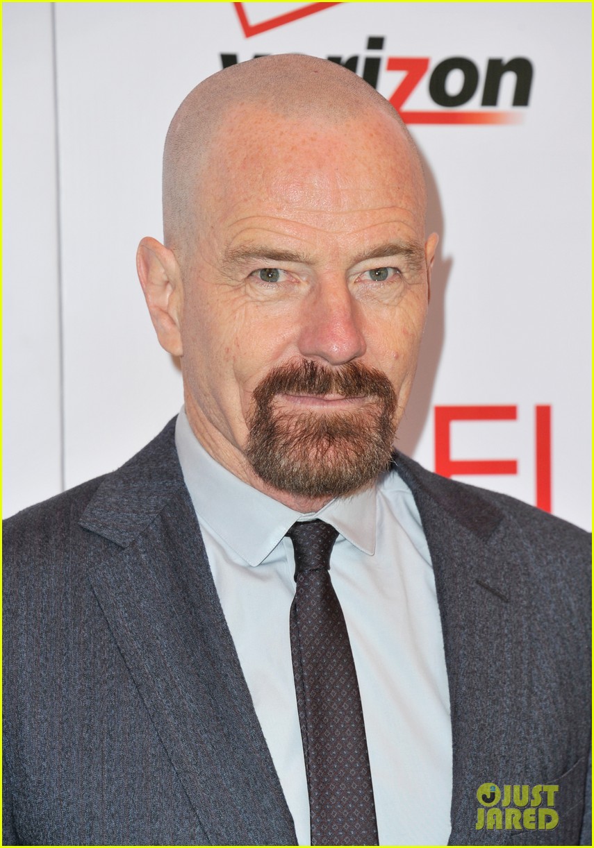 'Breaking Bad' & 'Walking Dead' Casts AFI Awards 2013 Photo 2789253