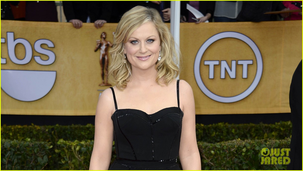 Amy Poehler & Tina Fey SAG Awards 2013 Red Carpet Photo 2799700