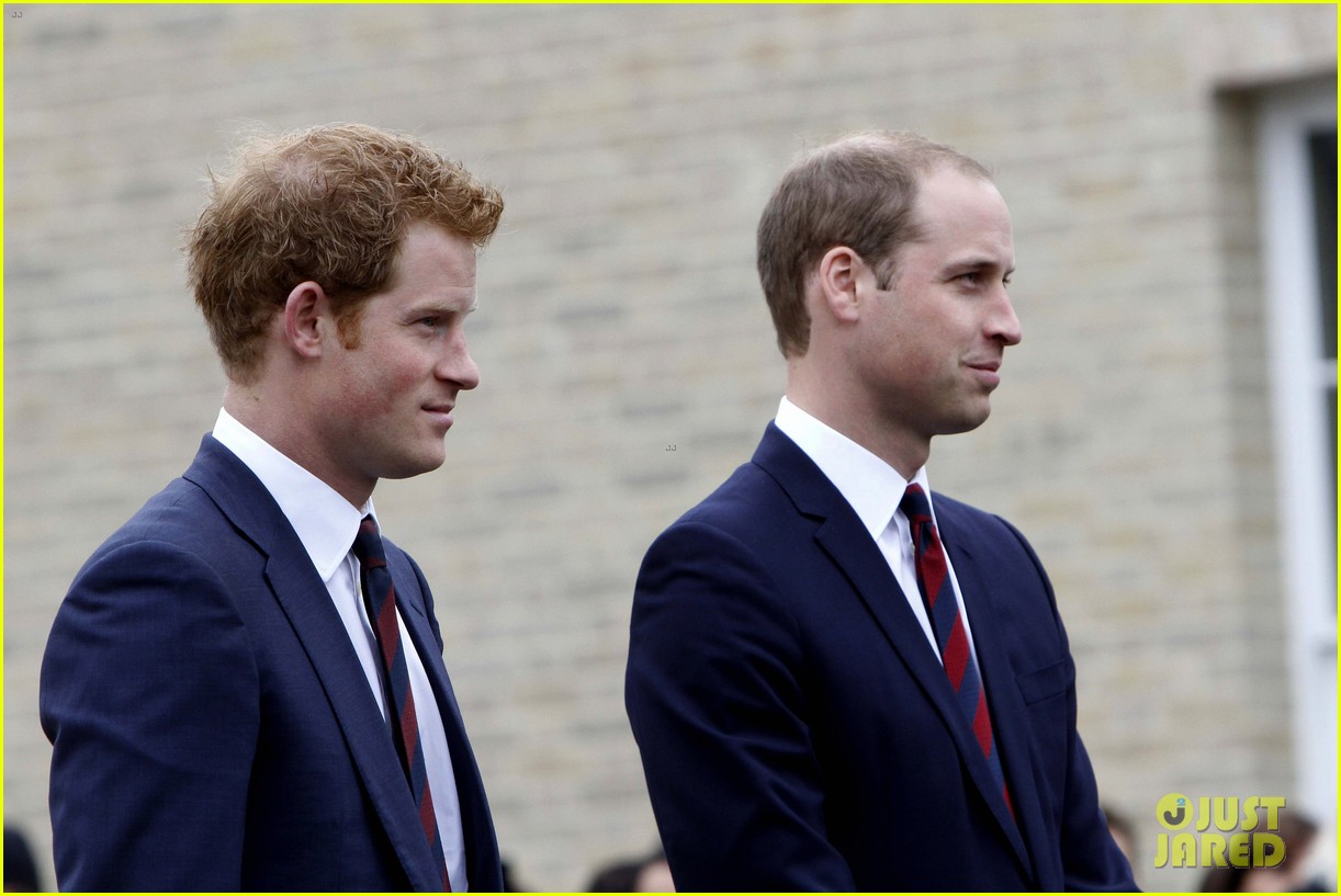 Prince William & Prince Harry Matching Ties at Charity Event! Photo
