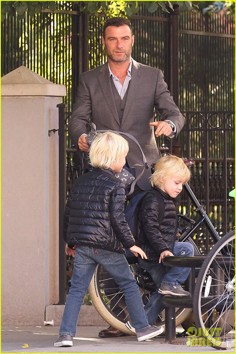 Liev Schreiber 'Ray Donovan' Hits Ratings High for Finale! Photo