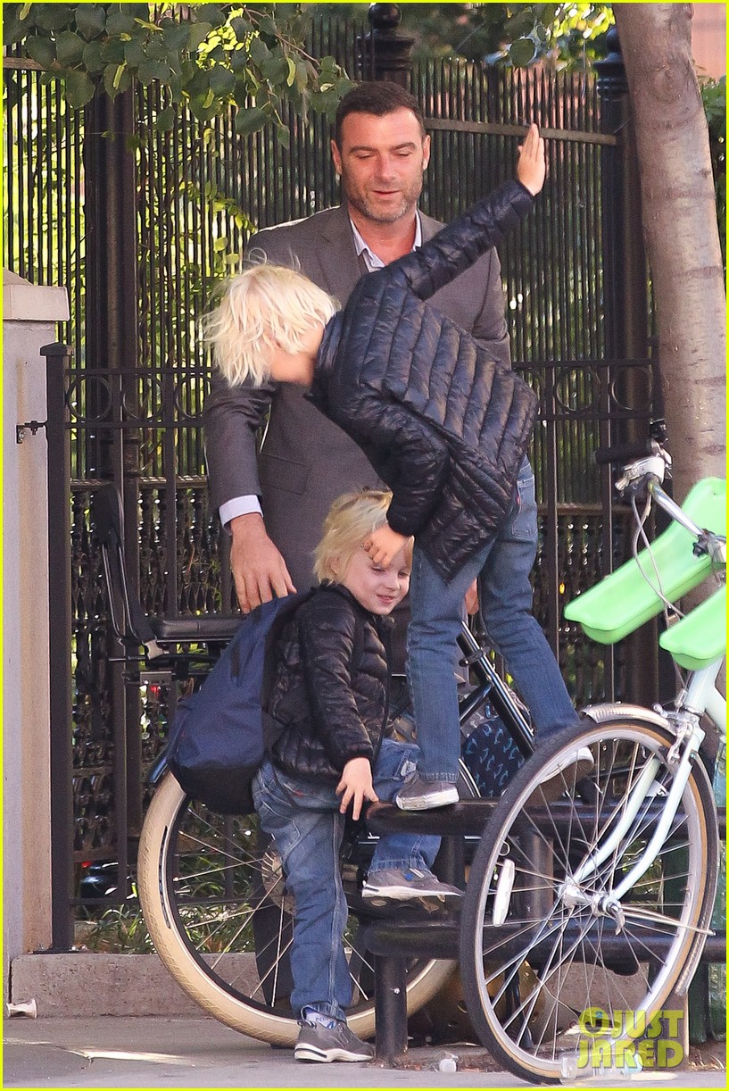 Liev Schreiber 'Ray Donovan' Hits Ratings High for Finale! Photo