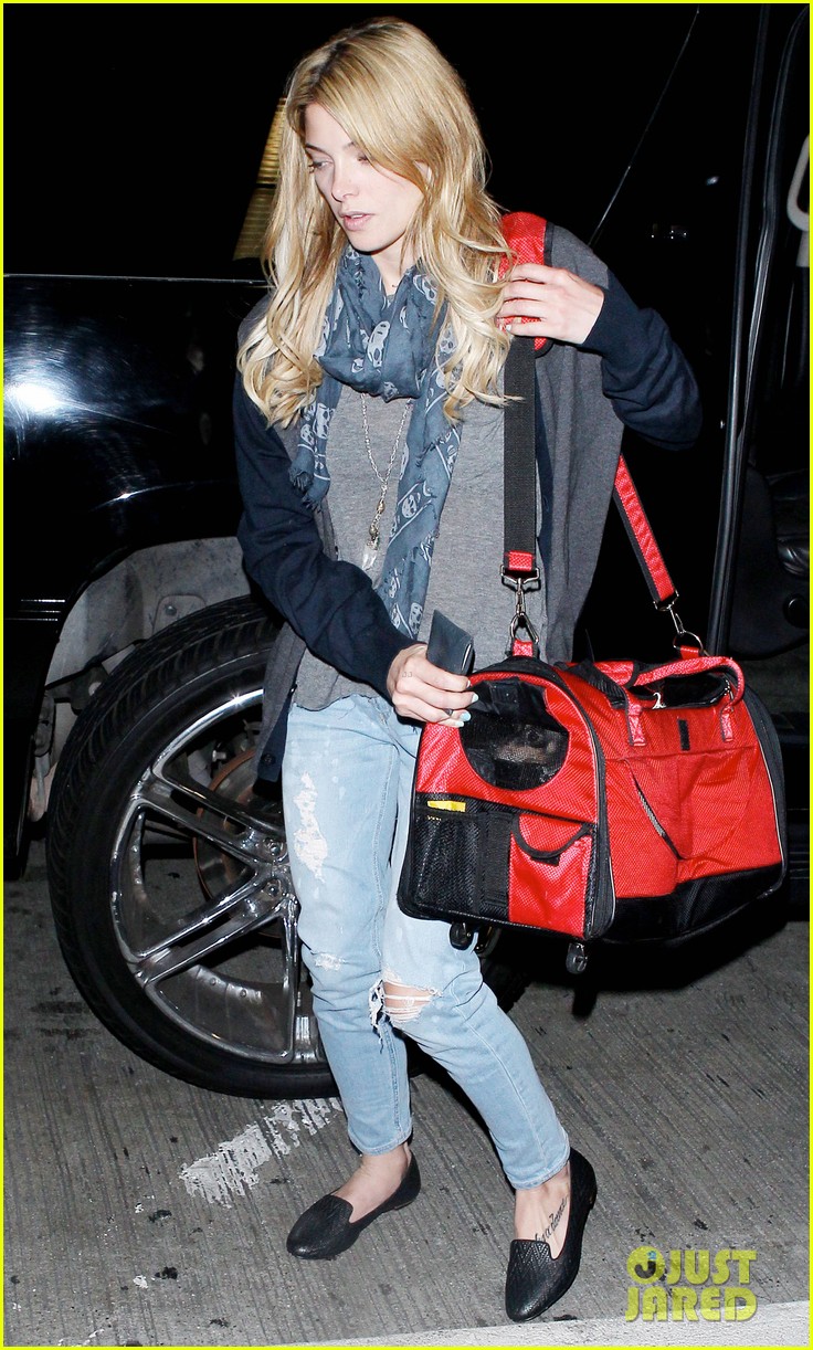 Ashley Greene Promotes 'CBGB' at the Apple Store! Photo 2968342