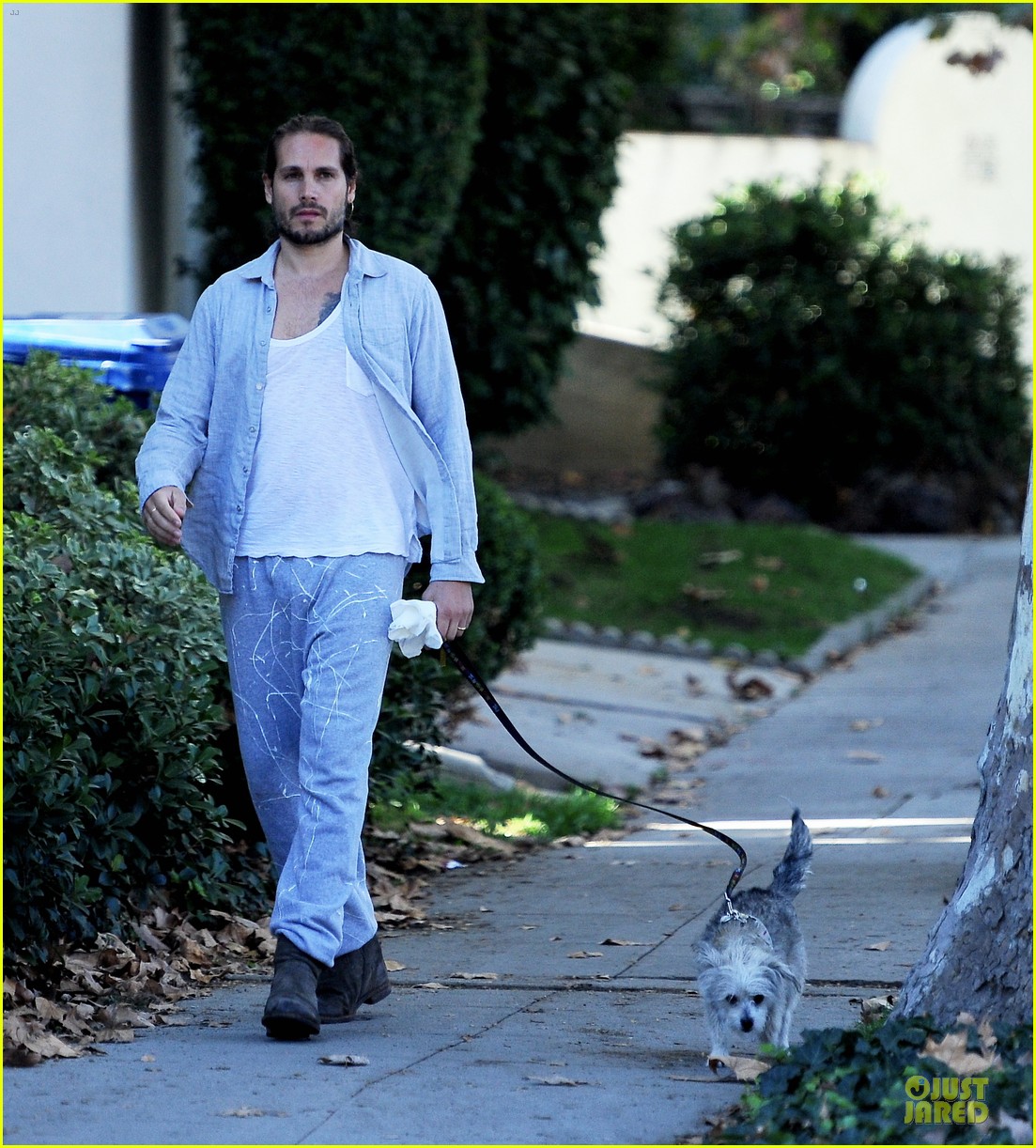 Zoe Saldana Grabs Groceries, Marco Perego Walks Mugsy! Photo 2985109