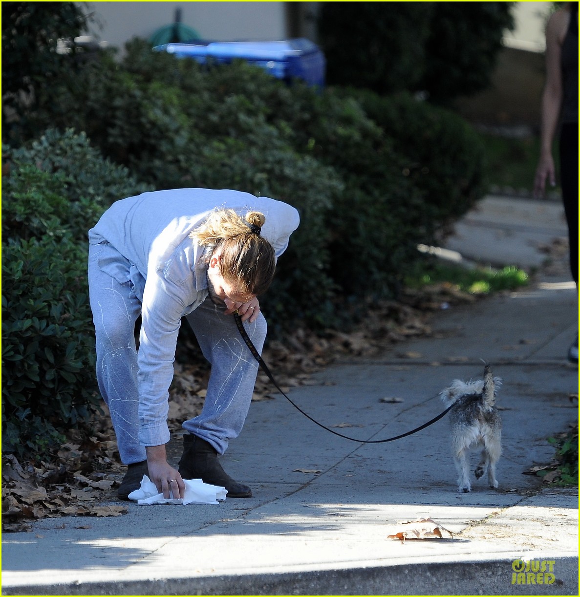 Zoe Saldana Grabs Groceries, Marco Perego Walks Mugsy! Photo 2985113