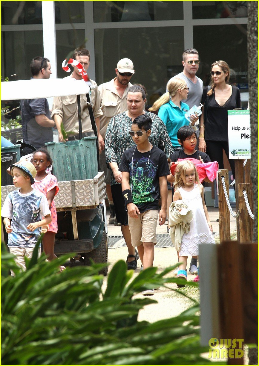 Angelina Jolie & Brad Pitt Visit the Zoo with All Six Kids! Photo