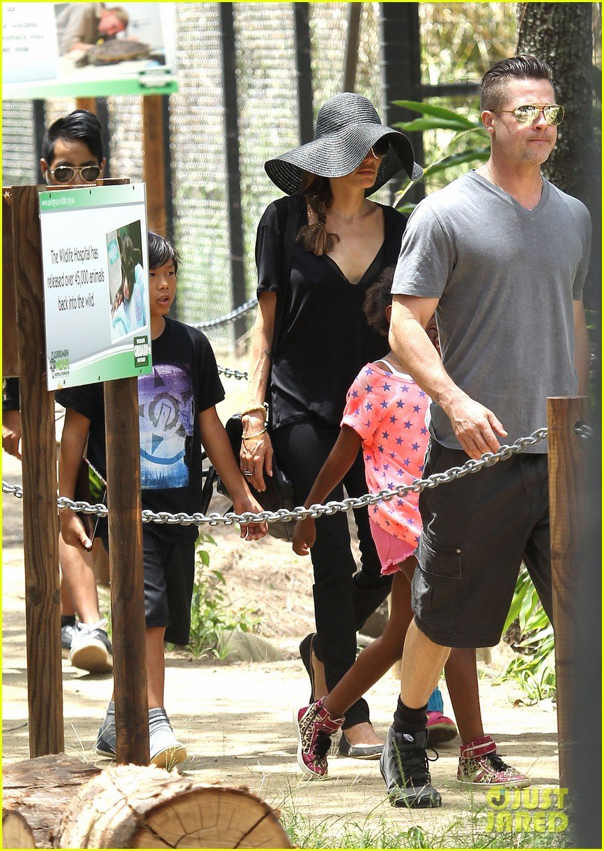 Angelina Jolie & Brad Pitt Visit the Zoo with All Six Kids! Photo(01)