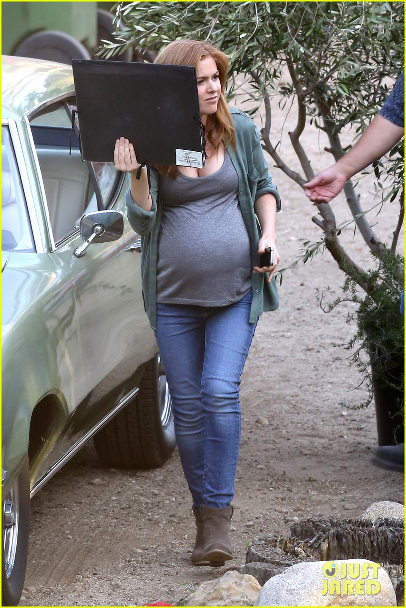 Isla Fisher Sports Huge Baby Bump For Her New Movie 'Visions'! Photo
