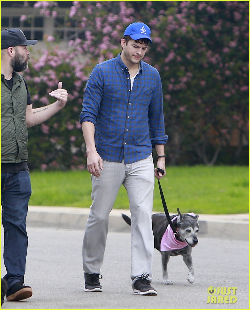 Ashton Kutcher The OneNight Stand Guy is Gross Photo 3067754