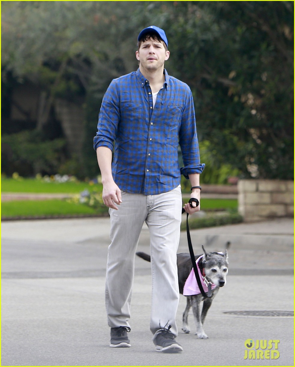 Ashton Kutcher The OneNight Stand Guy is Gross Photo 3067758