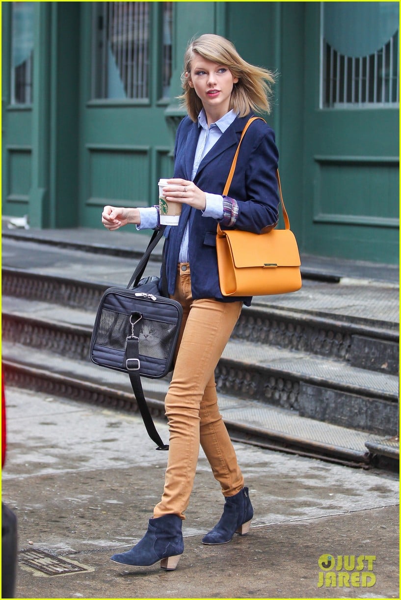 Taylor Swift Brings Her Pet Cat Meredith Around NYC in Travel Carrier