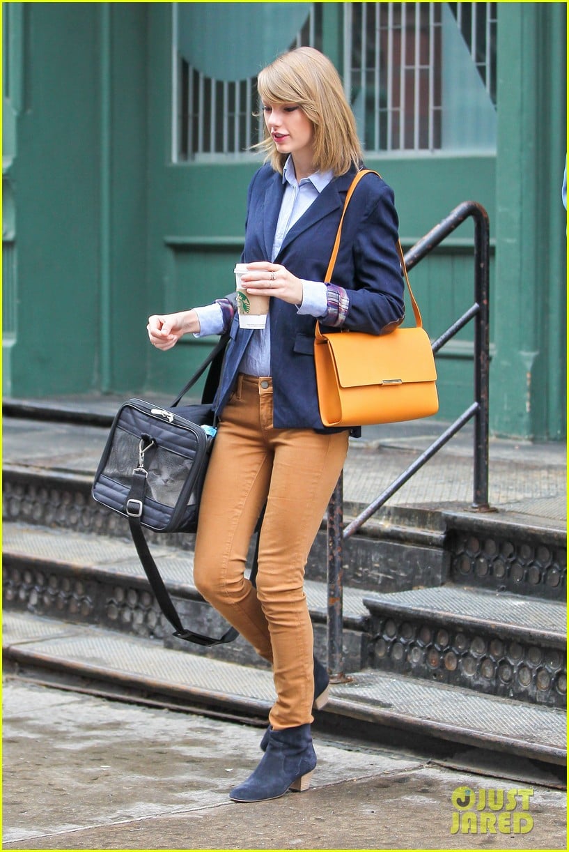 taylor swift brings her cat meredith around nyc in travel carrier 163081787