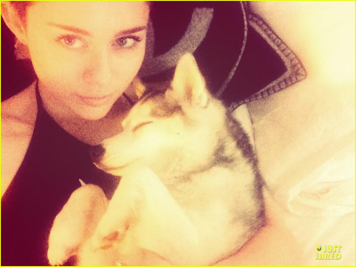 Miley Cyrus Is Heart Broken Over Precious Pet Pooch Floyd's Death(02)