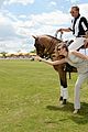 dakota johnson behati prinsloo check out a polo match 20