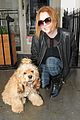 lindsay lohan adorable dog london 02