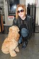 lindsay lohan adorable dog london 12