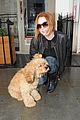 lindsay lohan adorable dog london 13