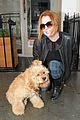 lindsay lohan adorable dog london 14