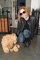 lindsay lohan adorable dog london 15