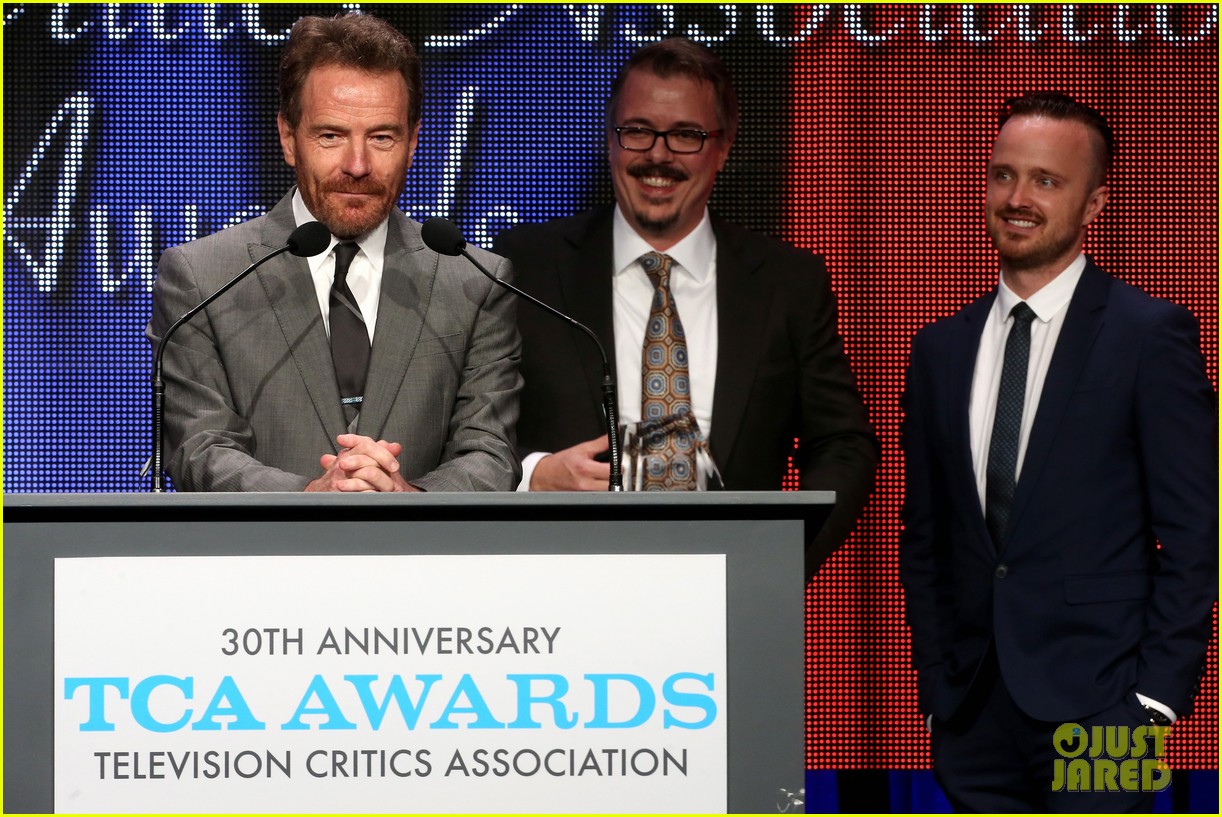Matthew McConaughey & 'Breaking Bad' Win Big at the TCA Awards! Photo