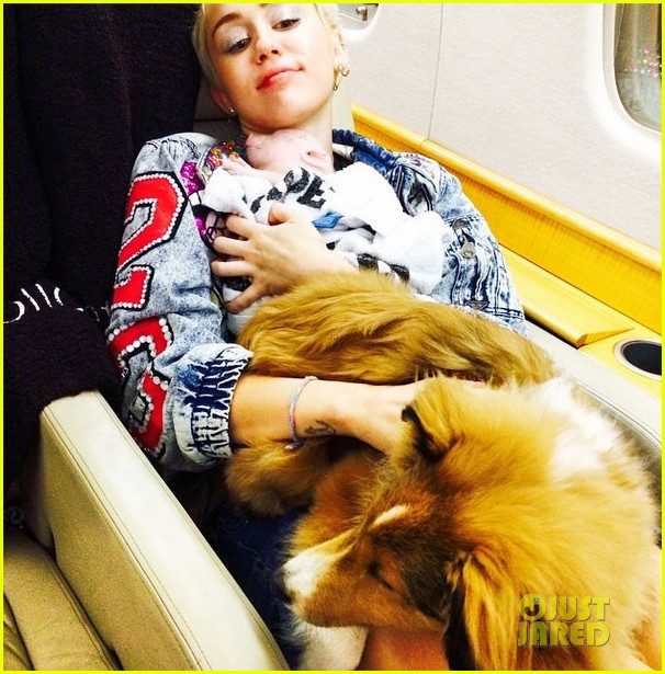 Miley Cyrus Pet Piglet Bubba Sue to Her Family! Photo 3174584