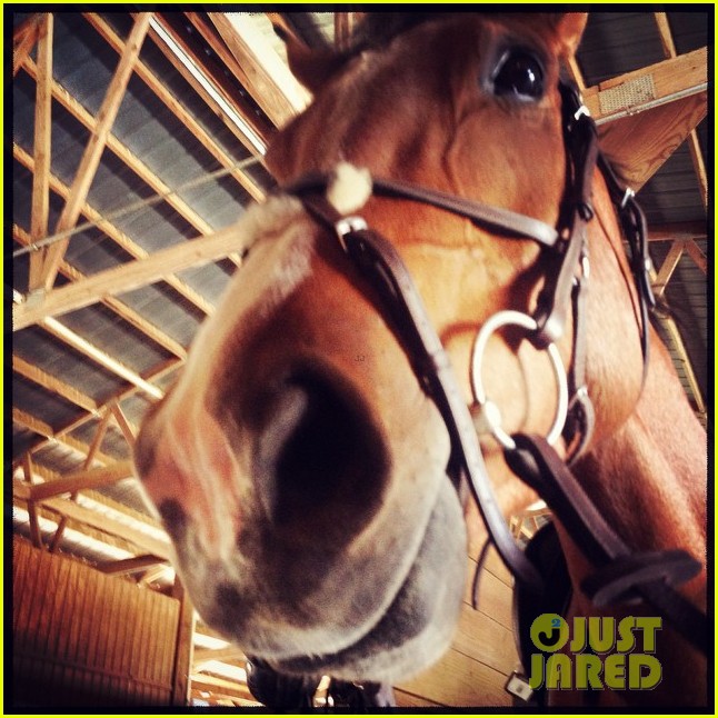 Ian Somerhalder & Nikki Reed Make It Romantic By Horseback Riding