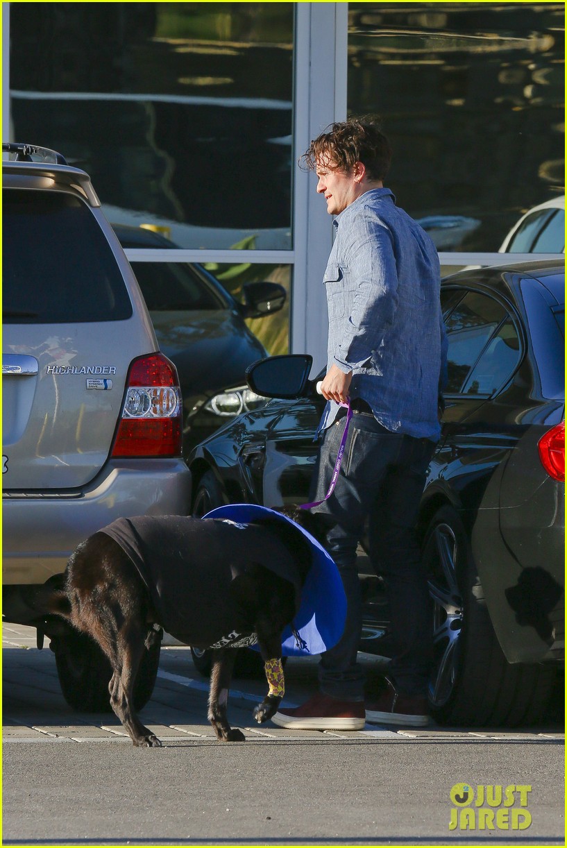 Orlando Bloom Takes His Dog Home From the Hospital: Photo 3335085 |  Celebrity Pets, Orlando Bloom Pictures | Just Jared
