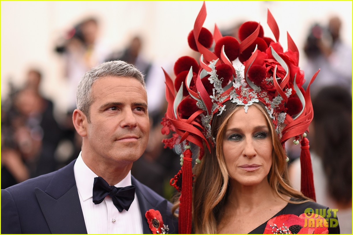 Andy Cohen & Seth Meyers are Two Dapper Dudes at Met Gala 2015 Photo