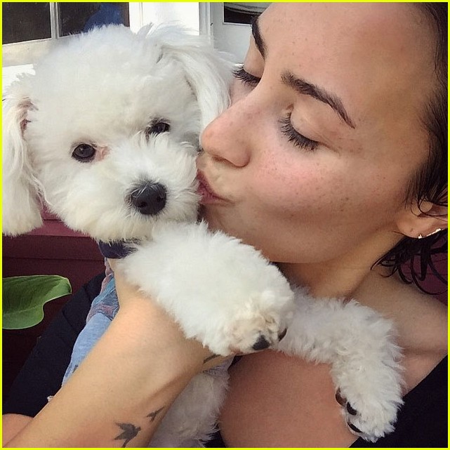 Demi Lovato Mourns the Death of Her Beloved Dog Buddy Photo 3425982