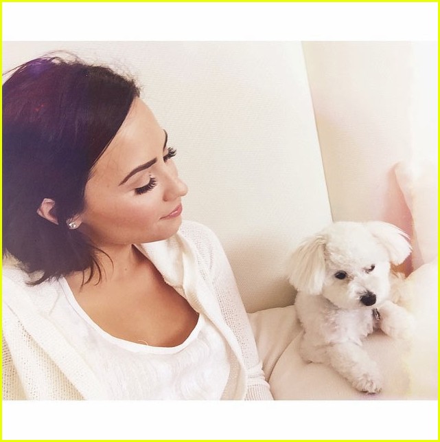Demi Lovato Mourns the Death of Her Beloved Dog Buddy Photo 3425999(02)
