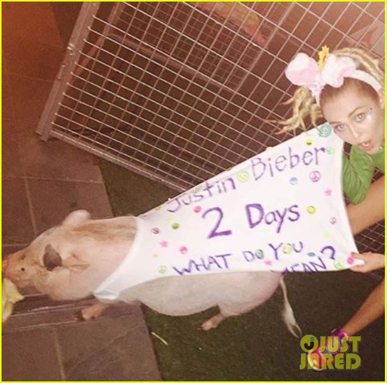 Justin Bieber 'What Do You Mean?' Full Song & Lyrics! Photo 3447166 Justin Bieber, Music