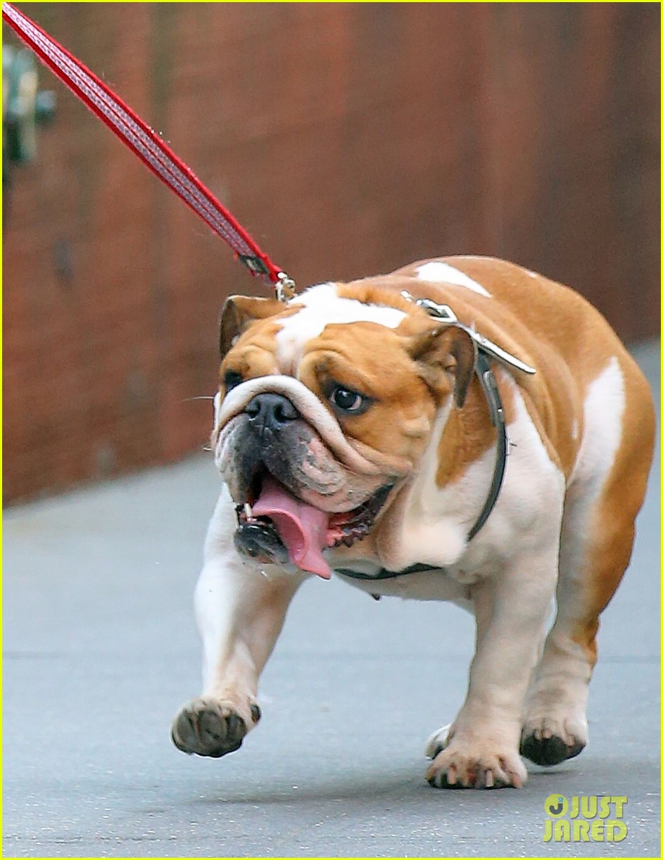 Rihanna Hits the Same NYC Club as Lewis Hamilton Photo 3438969 Lewis